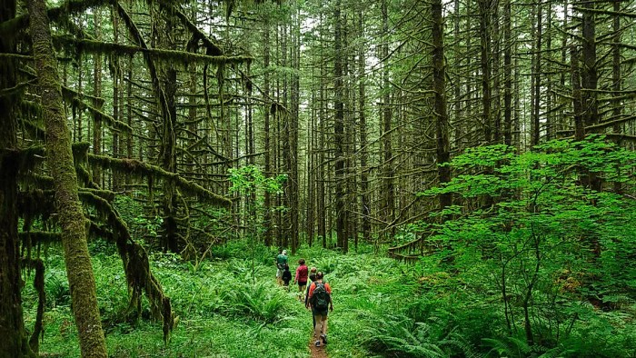 Eco tours