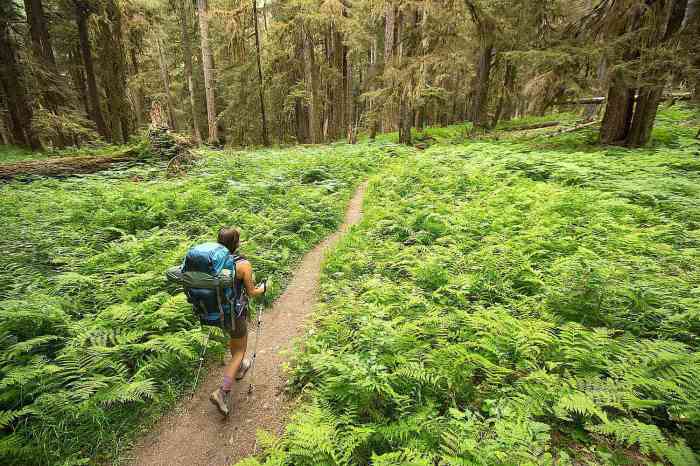 Ecotourism examples