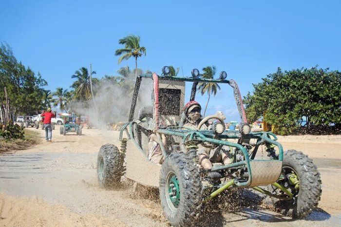 Wild buggy eco adventure