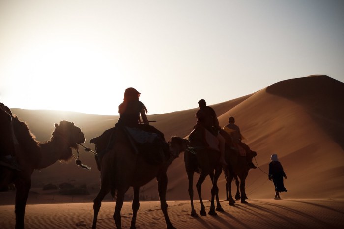Gadventures jordan
