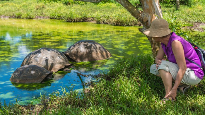 Eco tourism destinations