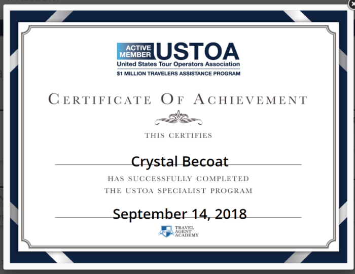 Best travel agent certification programs