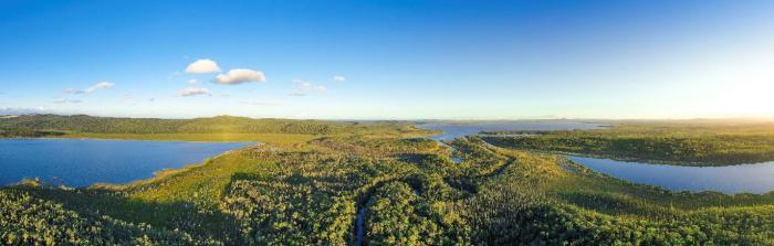 Everglades eco adventure