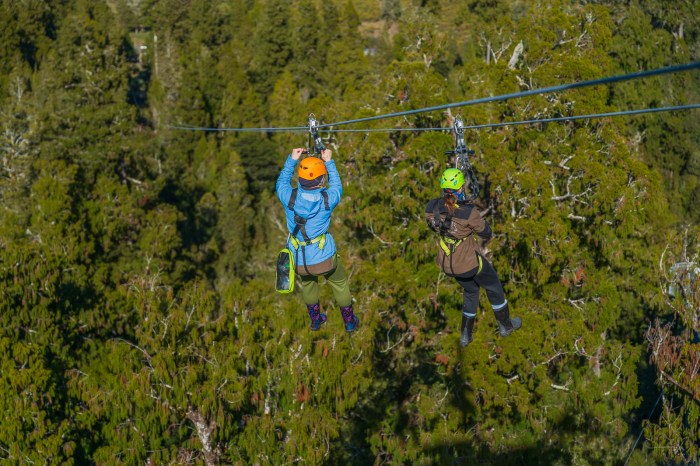 Ziplining