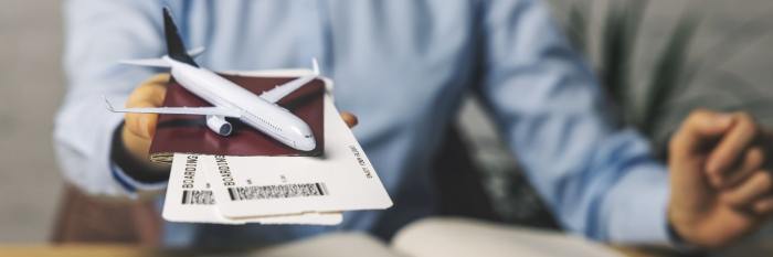 Travel agent programs