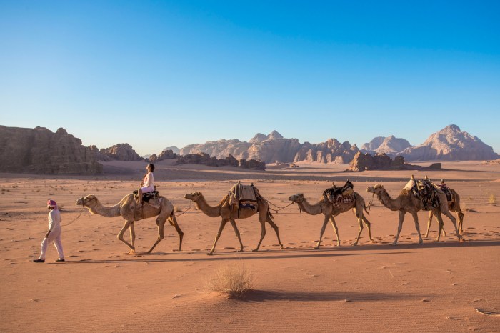 Gadventures jordan