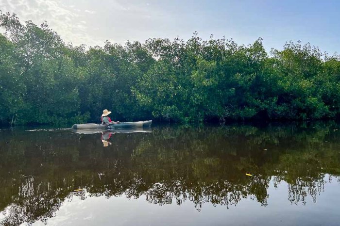 Everglades eco safaris