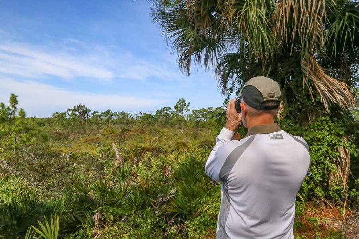 Everglades eco safaris
