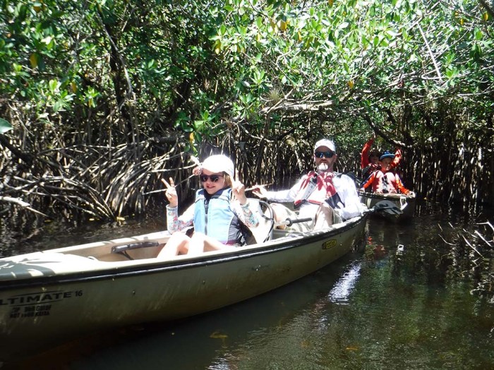 Mangrove tunnel kayak ecotour